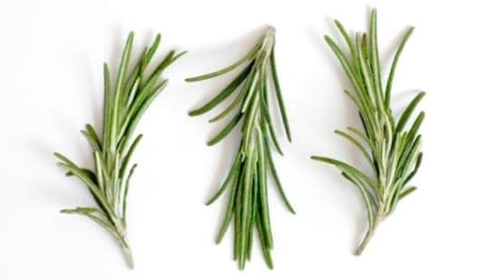 She added that rosemary contains antioxidants that can help prevent free radical damage to hair, making it stronger.  This can result in hair that is more resistant to breakage and less brittle.  The natural substances contained in rosemary can give your hair more shine.  Using rosemary water on your hair can make it shinier by removing product buildup and cleansing the scalp.  (Unsplash)