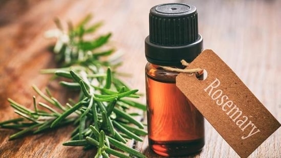 When considering using homemade rosemary water, Dr. Stuti Khare Shukla suggested a few points to consider and said, “Firstly, it is crucial to properly prepare and concentrate the rosemary water.  A moderate infusion would have no noticeable effect, while an intensely concentrated mixture would harm the scalp.  Consistency is also important.  The potential benefits of rosemary water may take some time to manifest and occasional consumption may not provide the desired results.  It's essential to have patience and include it in a daily hair care routine, she continued.  (Shutterstock)