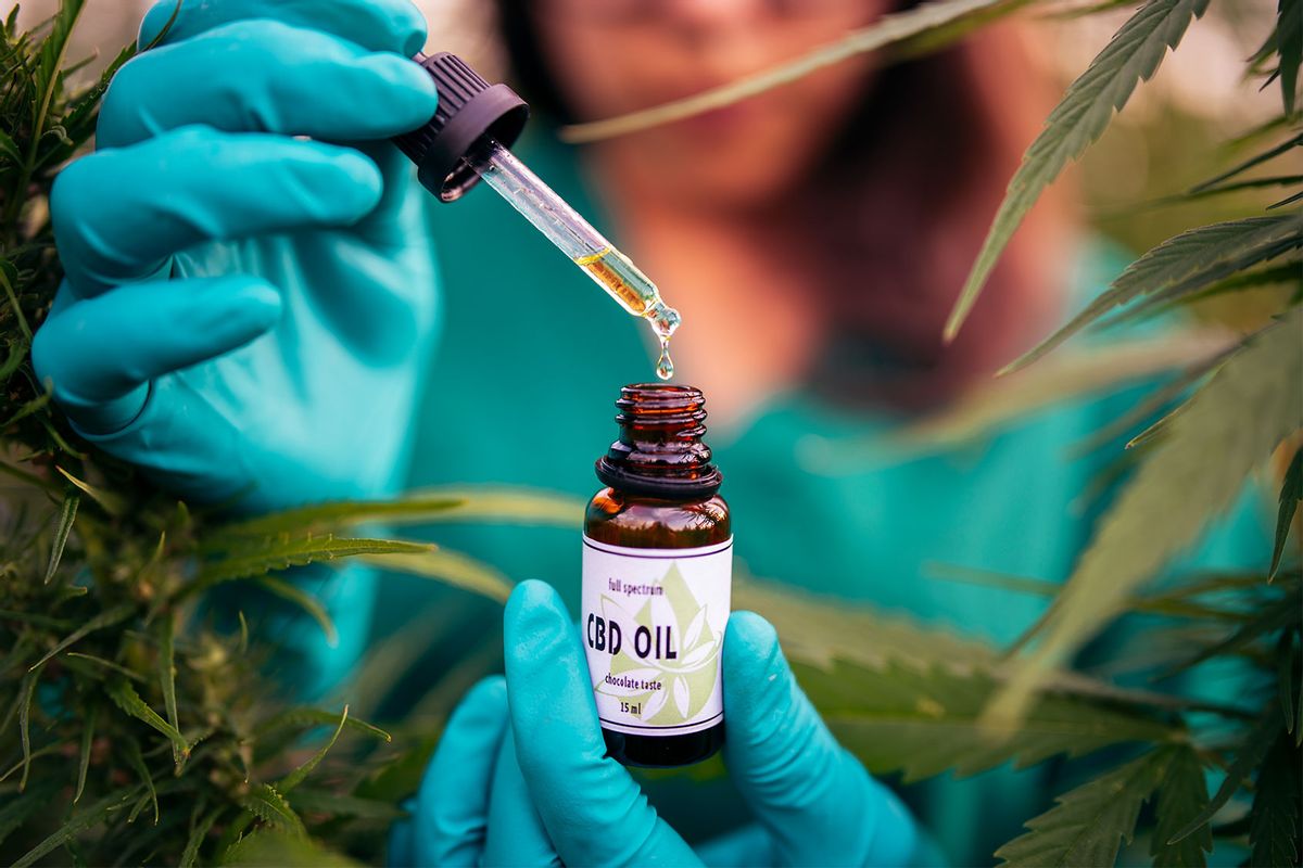 CBD: Why the recommended daily dose was lowered from 70 mg to 10 mg by the food regulator