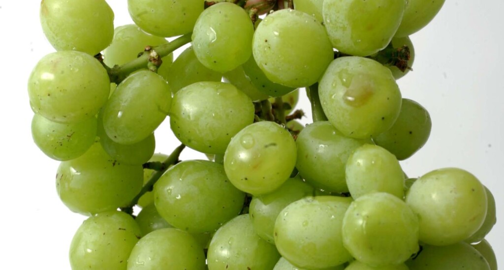 Carrots aren't the only good food for your eyes. Eat grapes if you're getting old